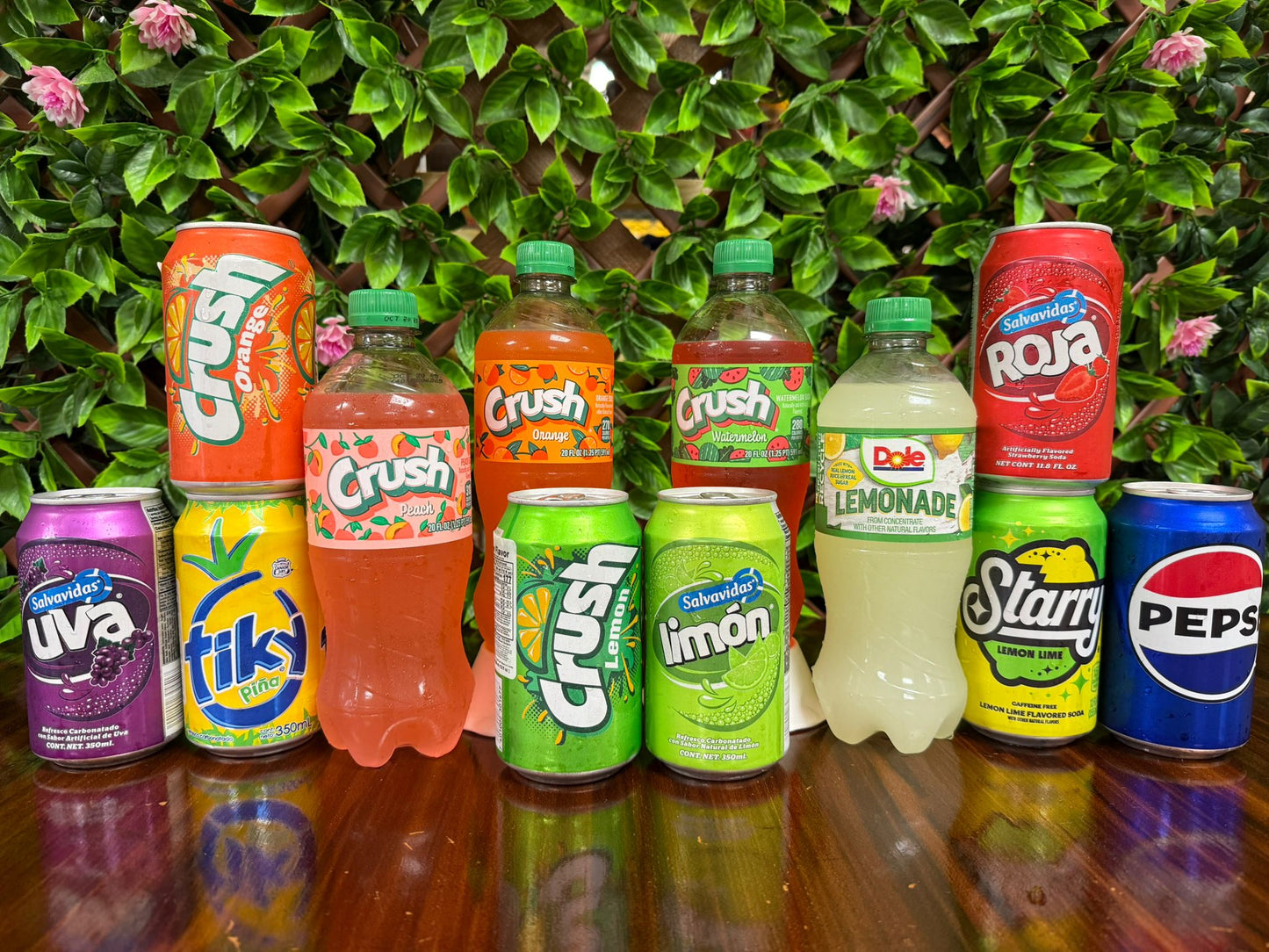 Bebidas