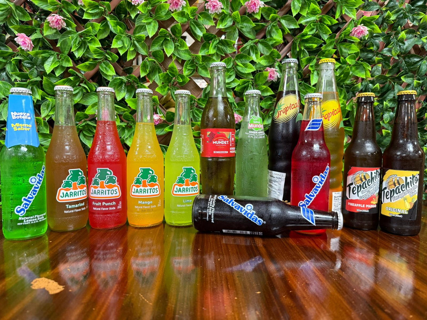 Bebidas